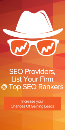 seo providers